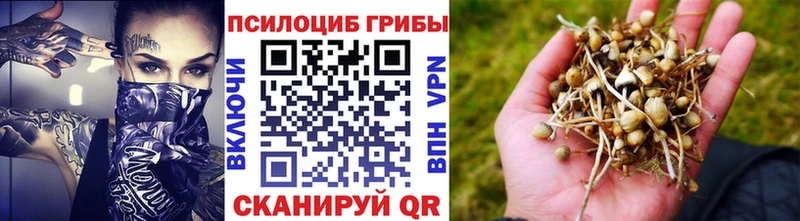 Псилоцибиновые грибы ЛСД Купить где Мензелинск