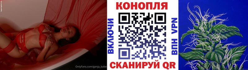 Купить где  Мензелинск  Конопля марихуана 